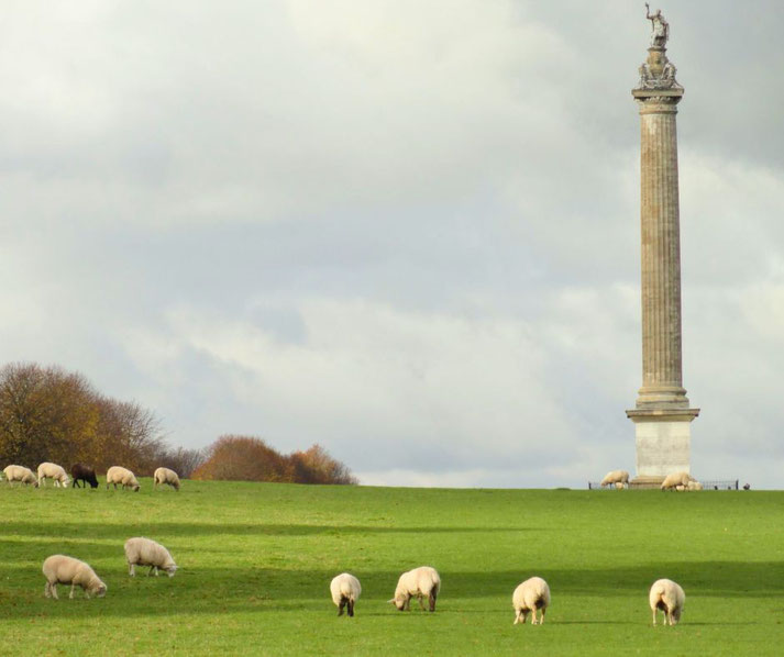 A group of sheep graze peacefully in a grassy field, with a tall monument towering in the background.