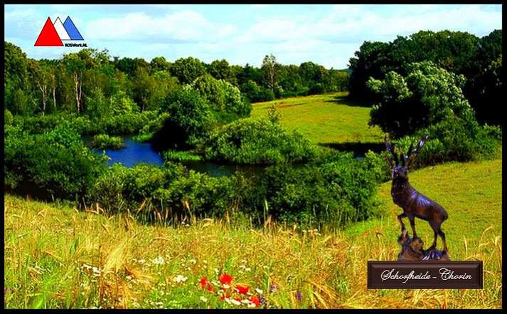 Panoramabeeld Schorfheide. Compositie auteur.