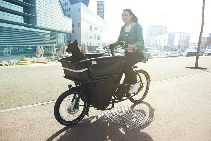 Lasten e-Bikes im e-motion e-Bike Premium Shop in Hannover probefahren, vergleichen und kaufen