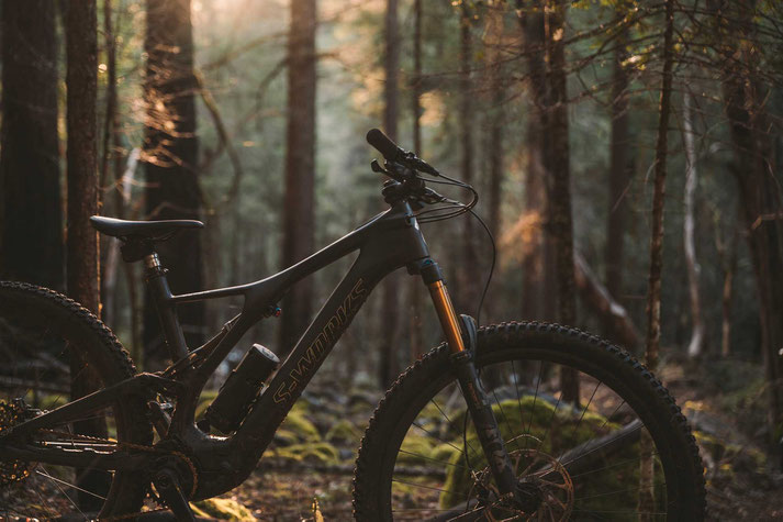 Das Specialized Men's S-Works Turbo Levo SL e-MTB 2020