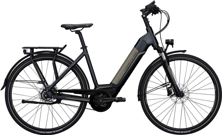 Hercules E Imperial City E Bikes Xxl E Bikes 2020 Jetzt Probe Fahren E Motion E Bike Experten