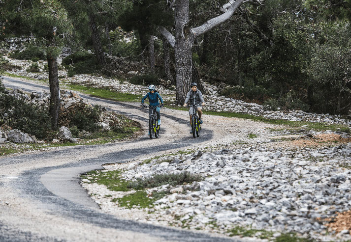 Haibike SDURO Cross 2020