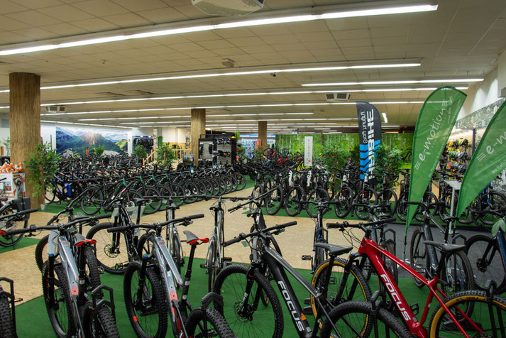 Unsere e-Bike und Pedelec Marken in Nürnberg - e-motion e-Bike Experten