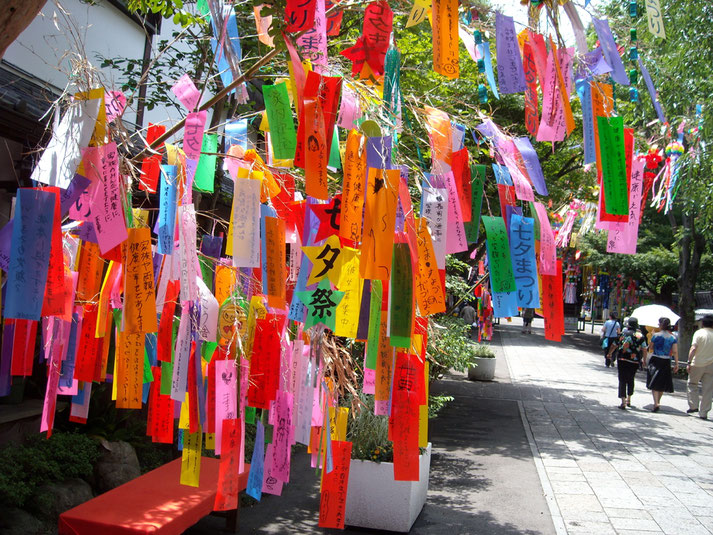 Baum verziert mit Wünschen zum Tanabata Fest