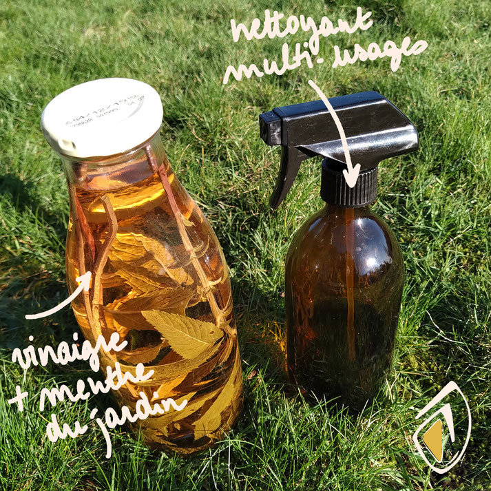 comment parfumer le vinaigre blanc pour fabriquer son nettoyant multi-usages écologique