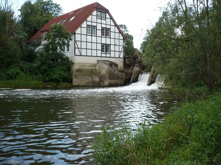 Die Else in Bünde angelvereinbuendes Webseite!