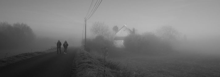 ©Stephane Moreau - Photographe - Chalonnes sur Loire