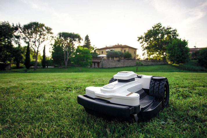 Ambrogio 4.36 Elite Mähroboter im Einsatz auf grünem Rasen