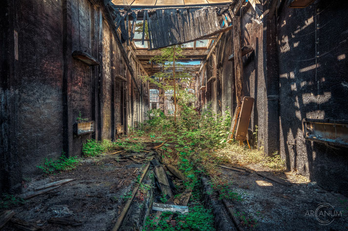 Abandoned Railway Repair Shop in Germany