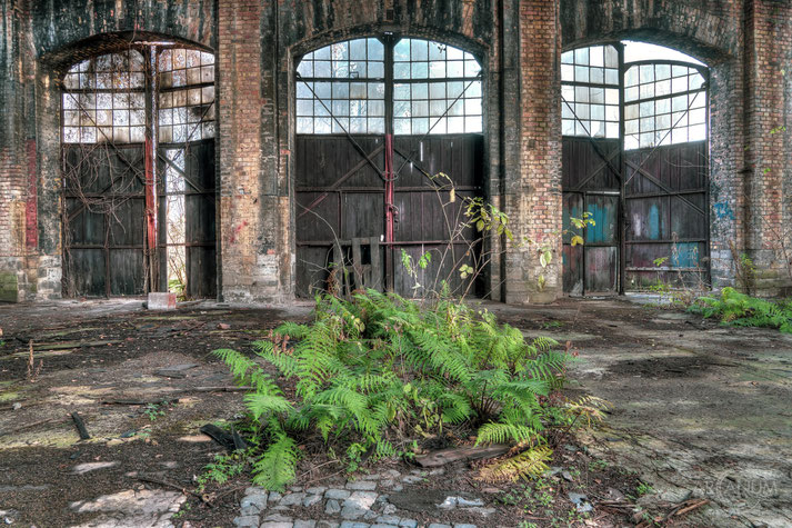 ABandoned Railyard in Germany