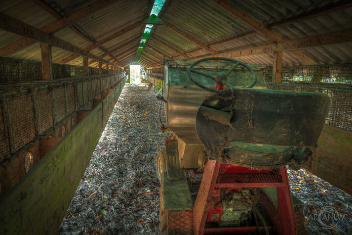 Abandoned Mink Farm in Denmark