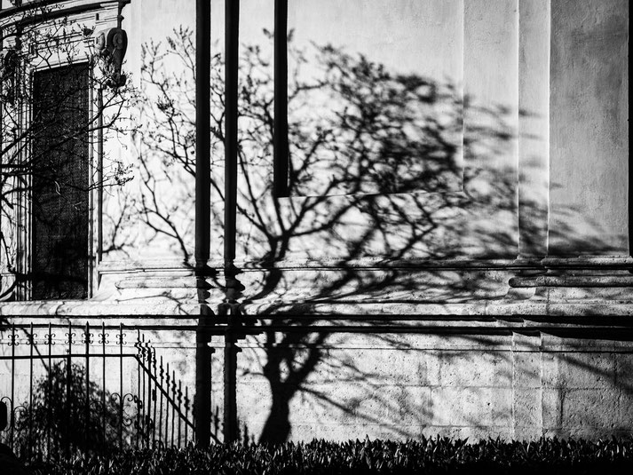 Baumschatten an der Fassade des Mausoleums