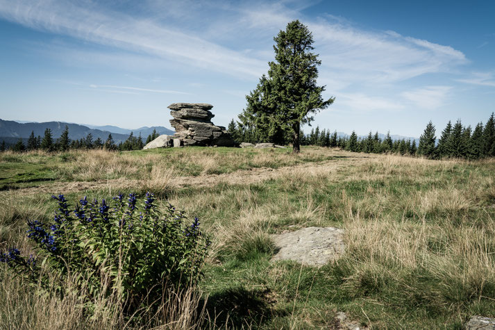 Teufelsstein (Fischbacher Alpen/ Oststeiermark)