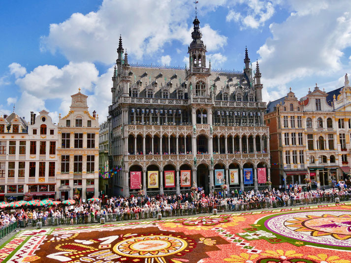 Gildehäuser Zunfthäuser, am Grote Markt  Grande Place Brüssel Belgien