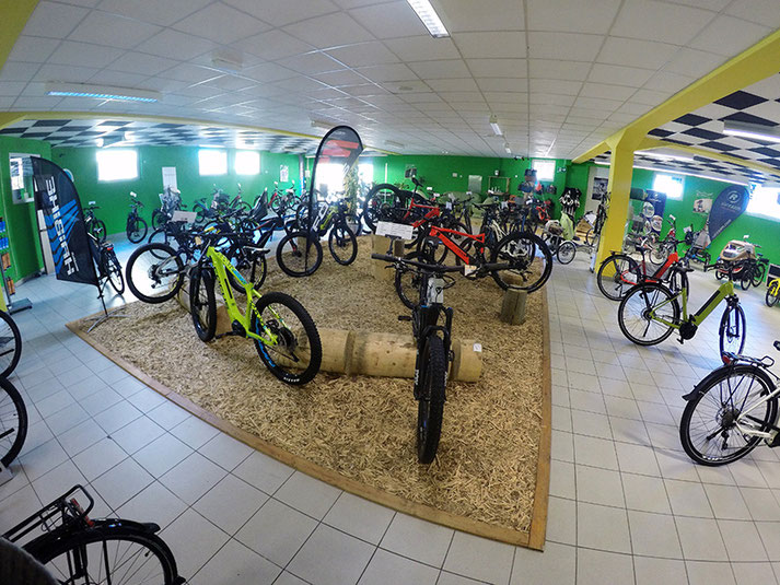 e-Mountainbike Markenvielfalt und grosse Auswahl in der e-motion e-Bike Welt Bern