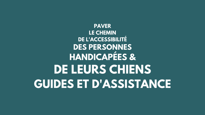 paver le chemin de l'accessibilité des personnes handicapées et de leurs chiens guides et d'assistance