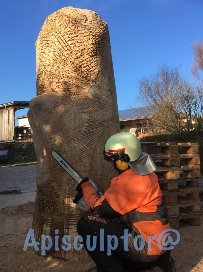Stihl MSE 210C für Bienen