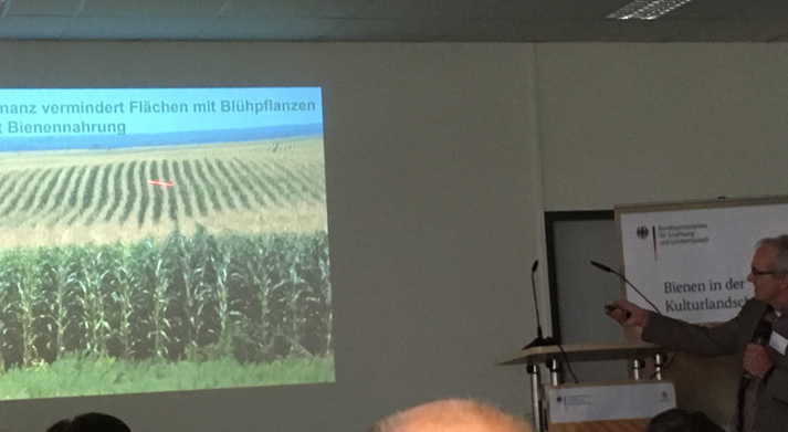 Dr. Stefan Berg Leiter Fachzentrum Bienen Veitshöchheim, zu 'was macht der Klimawandel mit unseren Bienen?'