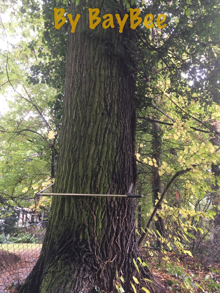 Stamm für die nächste Figurenbeute