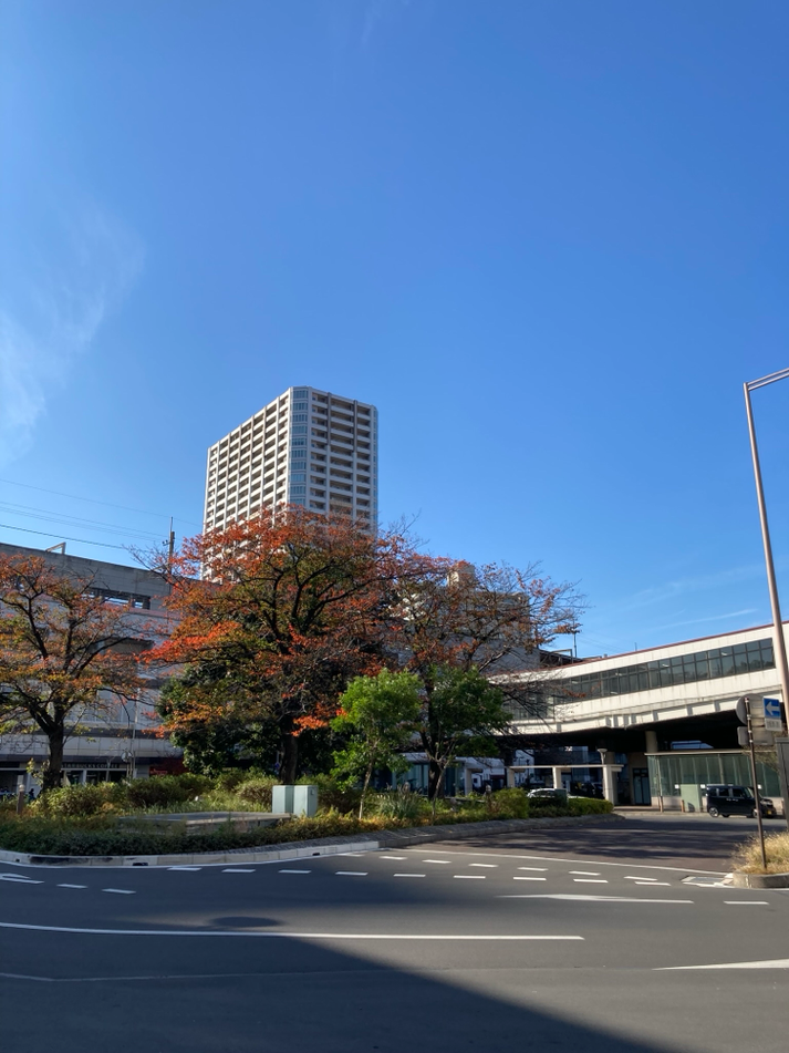 こちらは埼京線の武蔵浦和駅。以前より樹木も大きく太く育ち、街に深みが出てきたように思います。新しいお店もできていてますます暮らしやすそうな場所になっていました♪