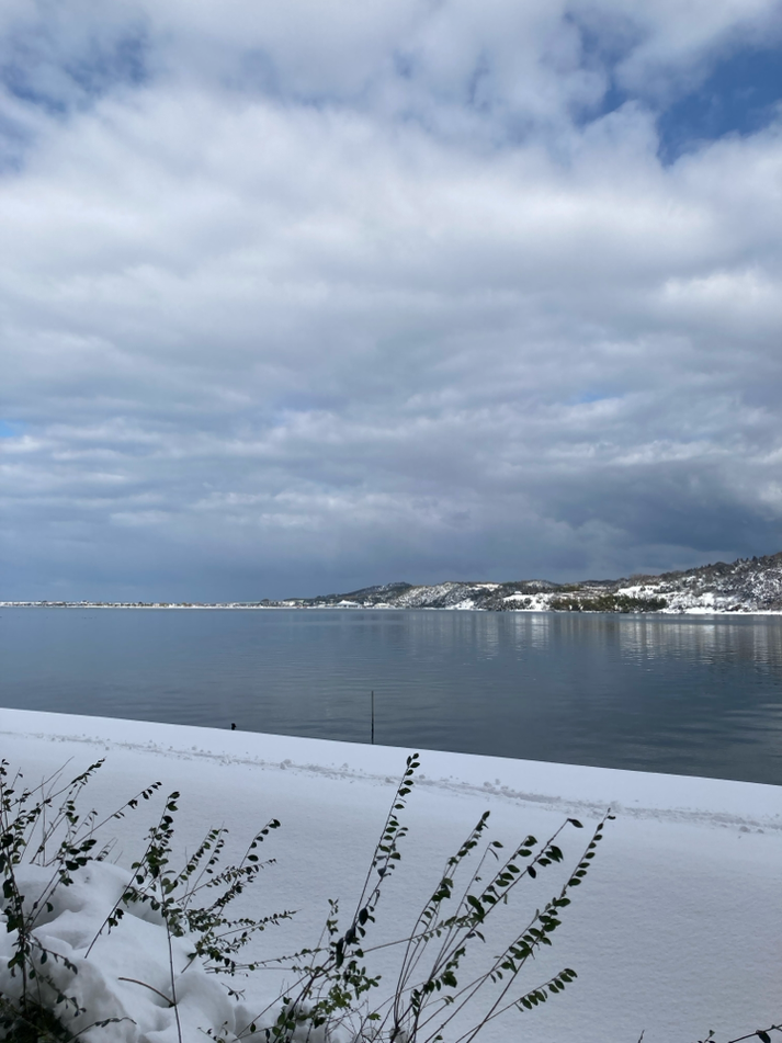 美しい雪景色の東郷湖