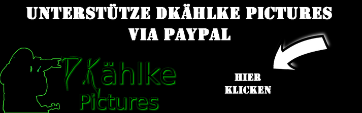 PayPal Aufruf