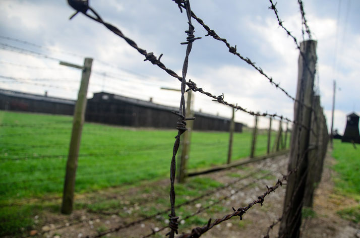 Close-up of rusty barbed wire fencing with wooden posts, enclosing a grassy area and distant dark buildings under a cloudy sky.