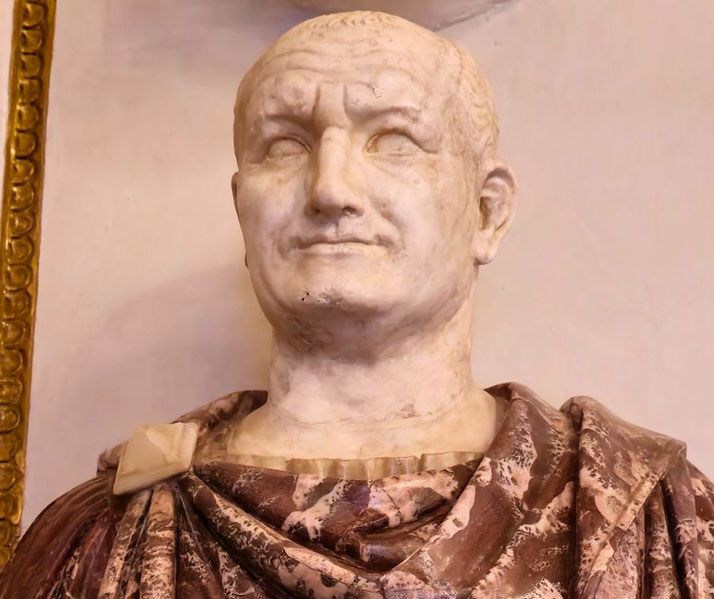 A marble bust of a bald man with a strong, aged face and a slight smile. He wears a richly textured, colored toga, contrasting with the white stone of his head.