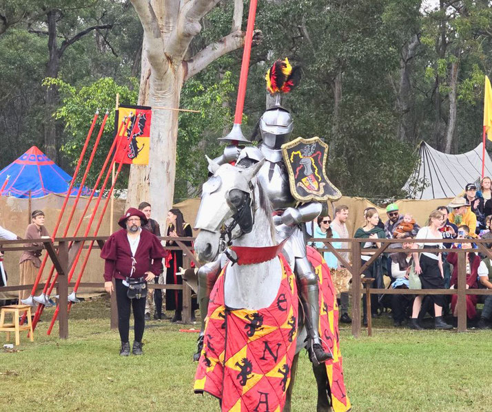 A knight in full armor on a white horse, holding a lance and shield, preparing for a joust. The horse is draped in red and gold.