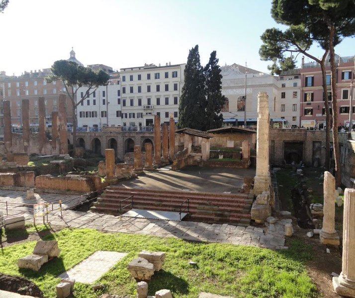 Exposed ancient Roman ruins with stone steps, columns, and grassy patches, set against modern city buildings.