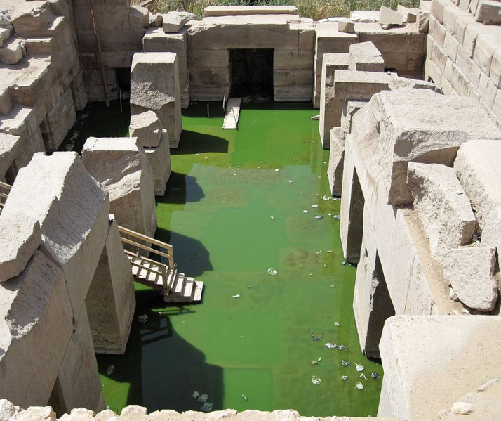 Ancient stone structure with columns partially submerged in murky green water, featuring a small wooden walkway.