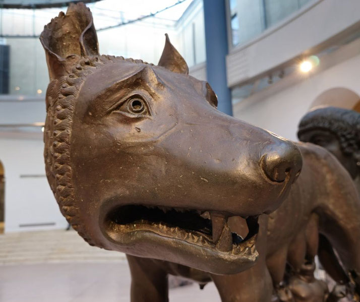 Close-up of a bronze wolf sculpture with alert ears, open mouth, and detailed fur texture, part of the Capitoline Wolf statue.