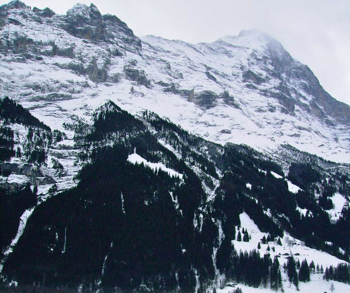 Snow-covered mountain with dark evergreen forest slopes beneath jagged peaks under a cloudy sky.