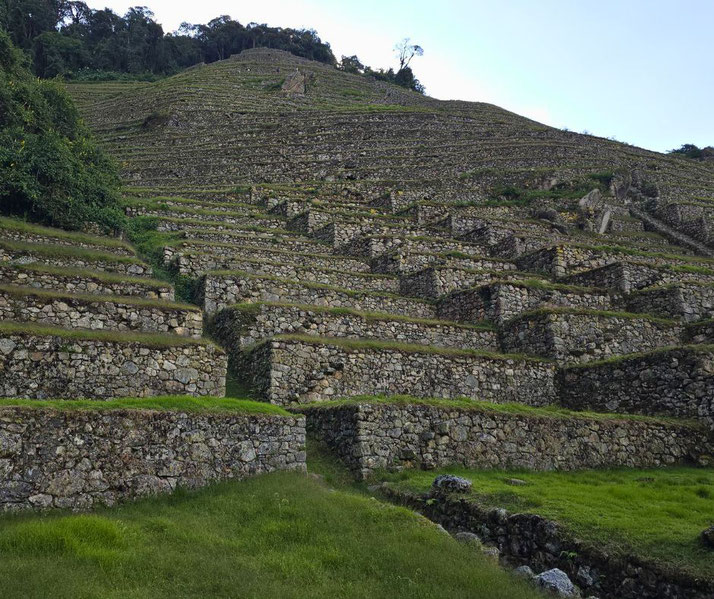 The terraced stone ruins of an ancient Incan site, likely Wiñay Wayna in Peru. The terraces, built on a steep hillside, were used for agriculture and erosion control in the Andes Mountains.