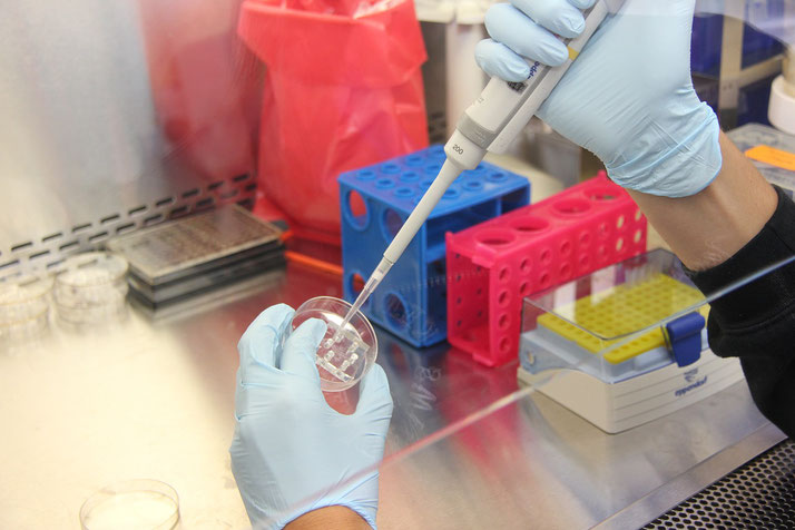 A gloved hand using a pipette to transfer liquid into a petri dish in a lab setting, surrounded by colorful equipment like test tube racks and a sterile workspace.