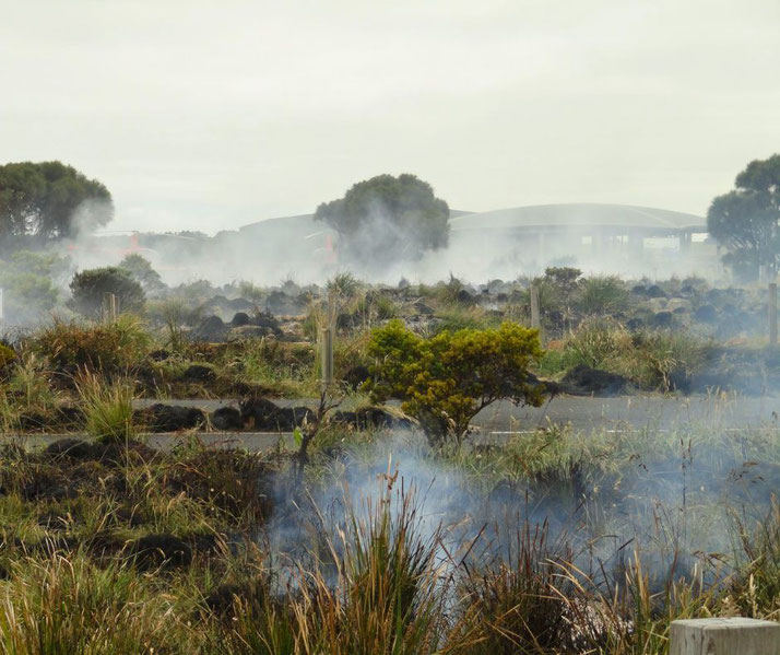 A smoky landscape with patches of scorched vegetation, scattered shrubs, and tall grasses under an overcast sky, creating an atmosphere of recent controlled burning or natural fire activity.