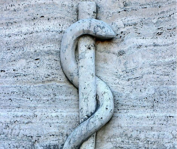 Stone relief of a snake coiled around a staff, the Rod of Asclepius, carved into a textured light stone wall. Symbol linked to medicine and healthcare.
