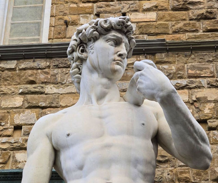 Close-up of Michelangelo's David, showing the upper torso, muscular arm, and intense gaze, with a stone wall in the background.