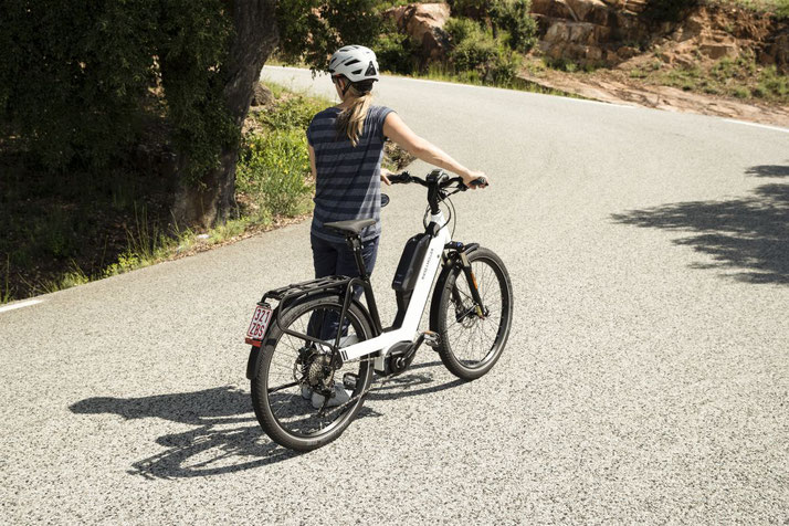 Riese Und Muller Nevo Gt City Und Trekking E Bike 2020 E