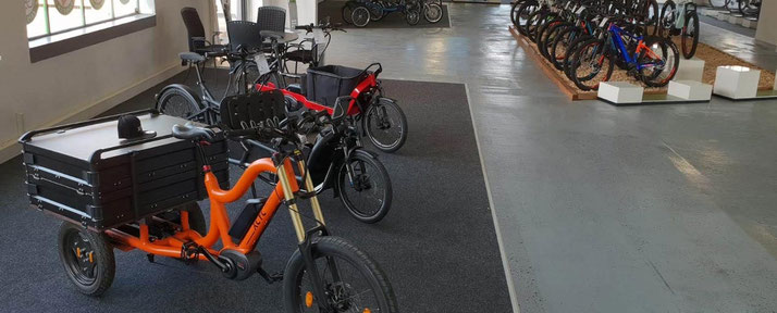 Lasten e-Bikes kaufen und probefahren in der e-motion e-Bike Welt Karlsruhe