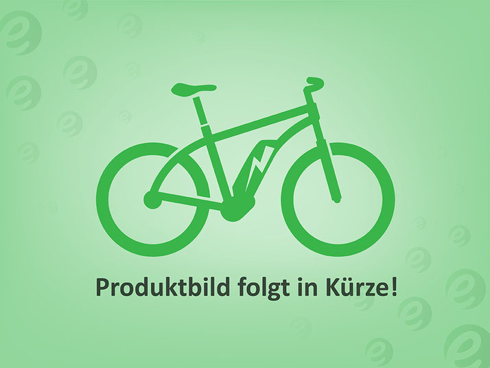 Corratec E-Power X-Vert CX 6 LTD e-Mountainbike 2020