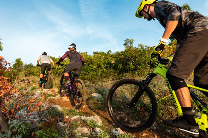 Specialized Turbo Levo e-MTB 2020