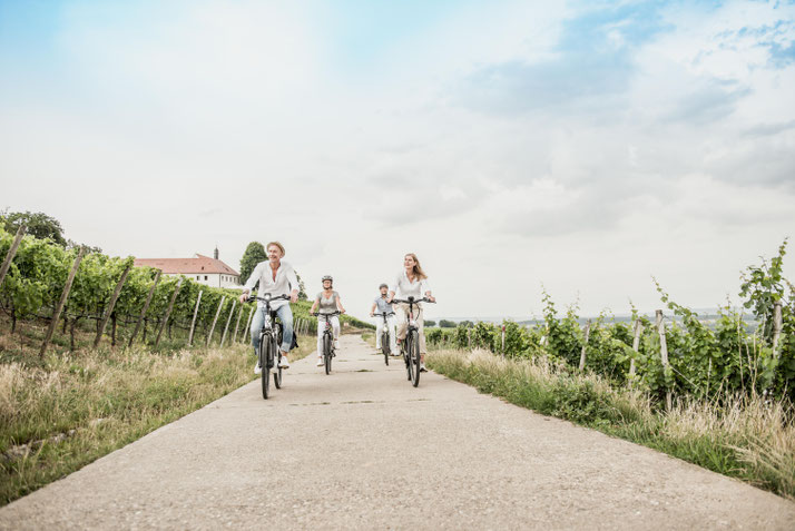 In Nürnberg West können Sie Trekking e-Bikes vergleichen und Probefahren