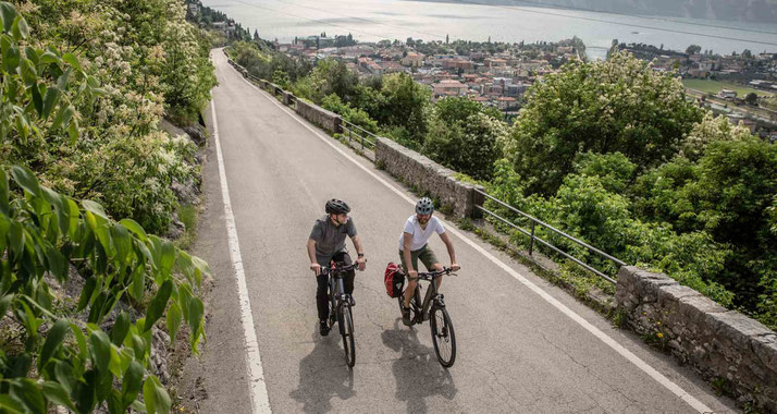 Der Brose Drive T e-Bike Antrieb ist besonders für Trekking e-Bikes geeignet