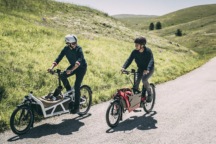Lasten e-Bikes und alles drum herum finden Sie im Shop in Cloppenburg