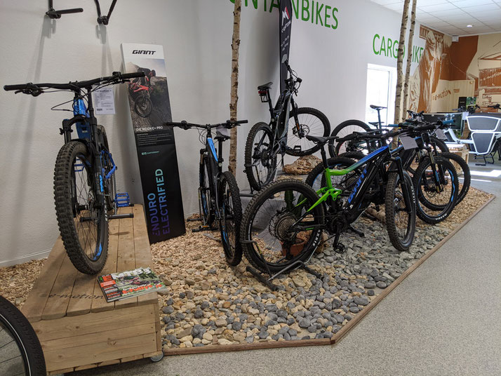 e-Mountainbikes probefahren und kaufen in der e-motion e-Bike Welt Bremen