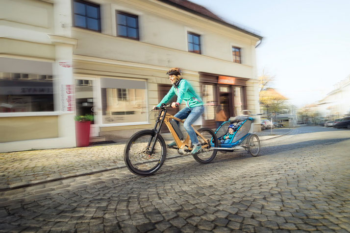Der TQ e-Bike Antrieb bietet Ihnen einen maximalen Drehmoment von 120 Nm über die gesamte Leistungsbandbreite