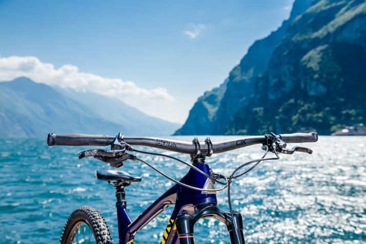 SQlab Lenker fürs e-Bike - ergonomisch, leistungsstark und komfortabel