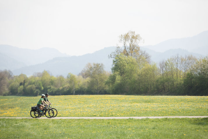 In Karlsruhe können Sie auch Trekking e-Bikes für eine geplante Tour mieten.