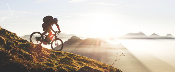 M1 e-Bikes und Pedelecs in der e-motion e-Bike Welt in Stuttgart